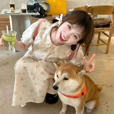 歌舞春光