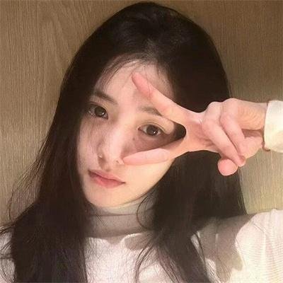 申社长计划